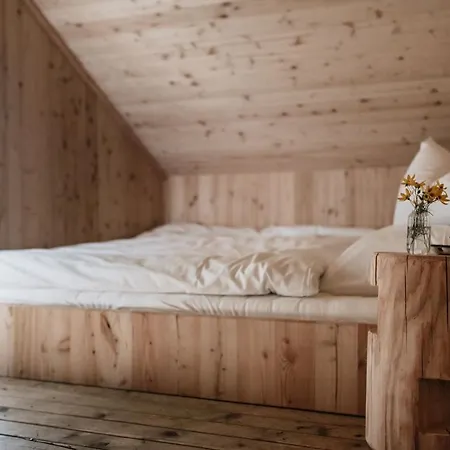 Haslauer Huettn Tatil Evi