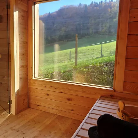 Haslauer Huettn Tatil Evi *